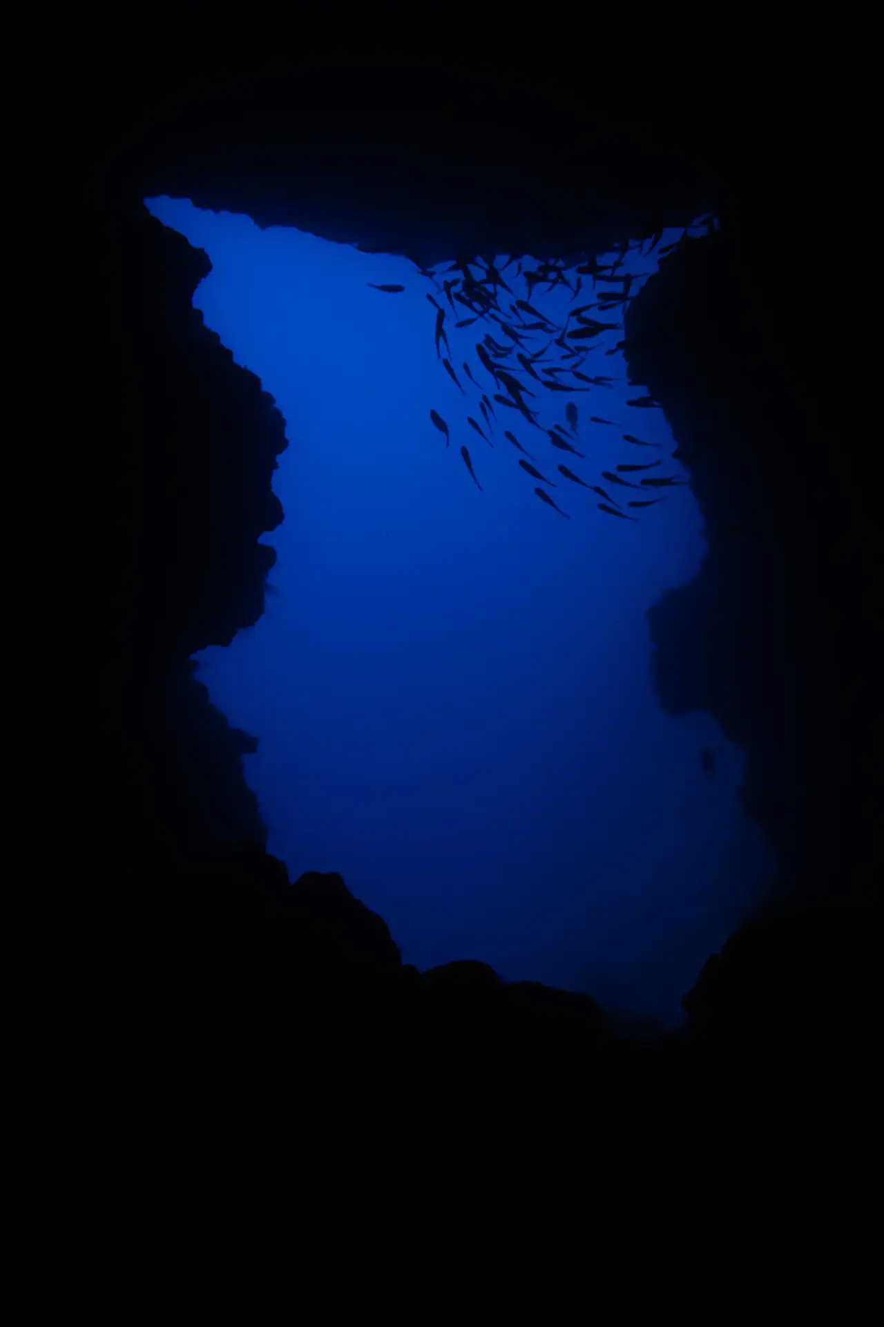 Unterwasser16.webp